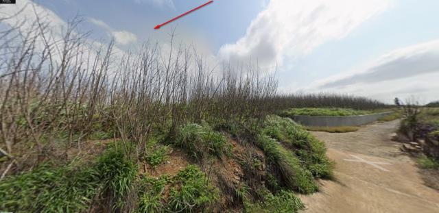 澎湖農地法拍-11