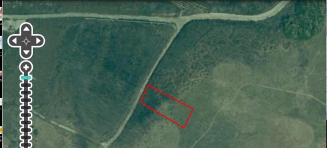 澎湖拍賣農地-1