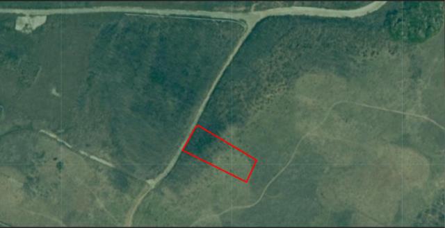 澎湖湖西法拍農地-9