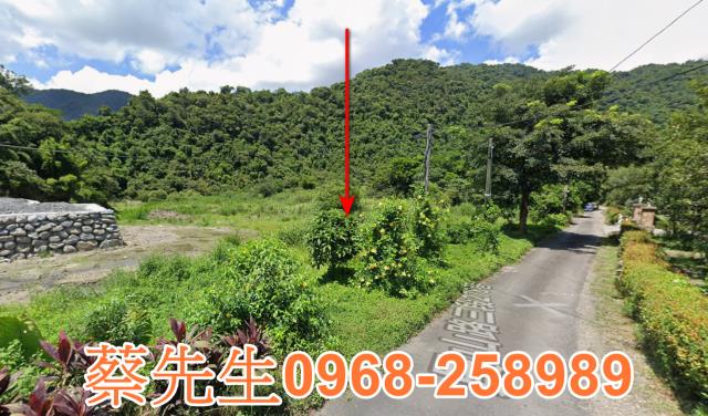 宜蘭員山法拍農地-13