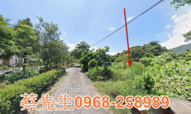 宜蘭員山法拍農地-14