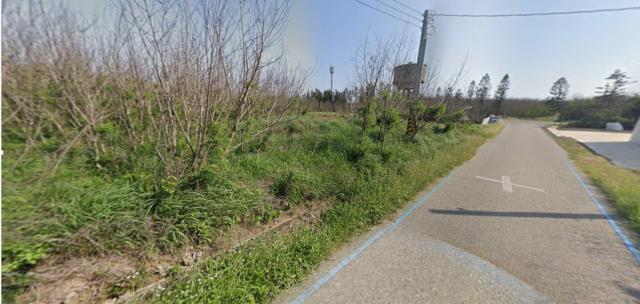 澎湖湖西農地法拍-4