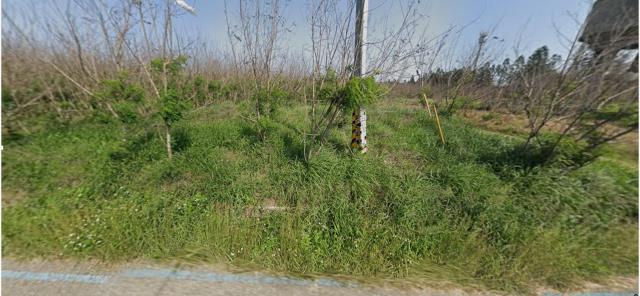 澎湖湖西農地法拍-8