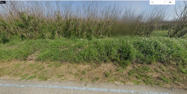 澎湖湖西拍賣農地-0