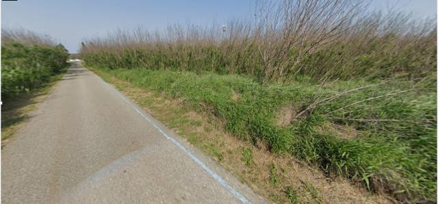 澎湖湖西拍賣農地-3