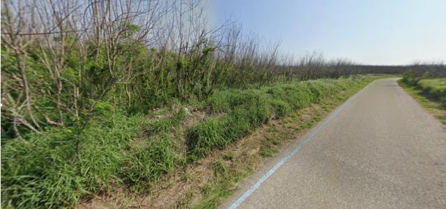 澎湖湖西拍賣農地-4