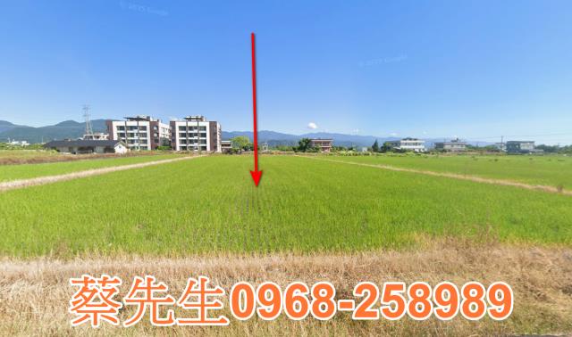 宜蘭三星農地法拍-0