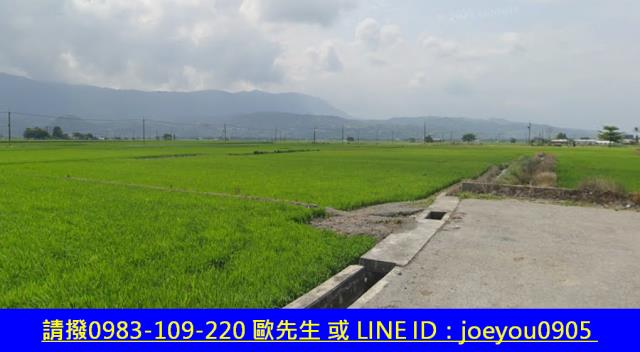 台東關山法拍農地-10