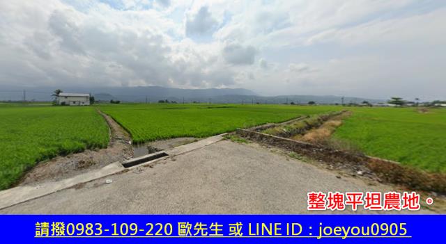 台東關山法拍農地-2