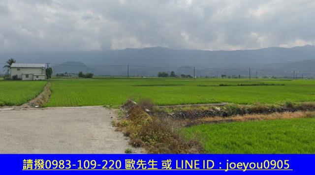 台東關山法拍農地-5