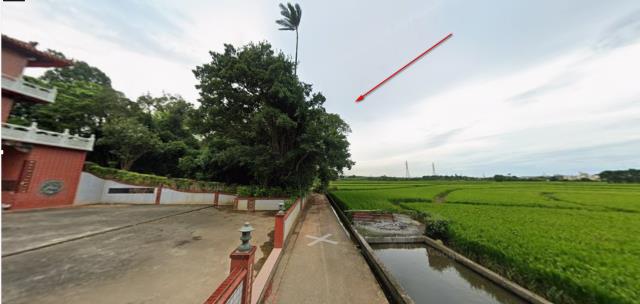 楊梅法拍農地-11