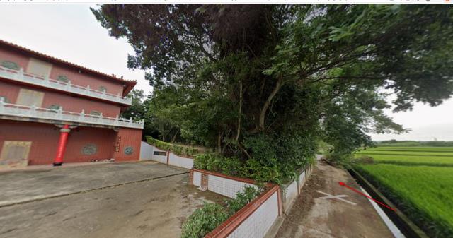 楊梅法拍農地-6