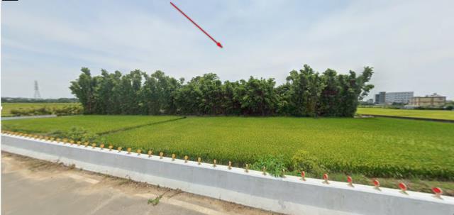 楊梅農地拍賣-0