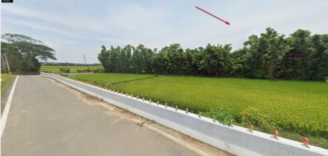 楊梅農地拍賣-3