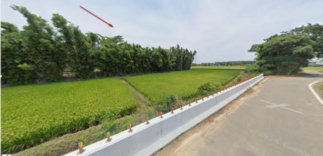 楊梅農地拍賣-4