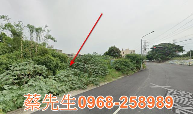 大肚法拍農地-13