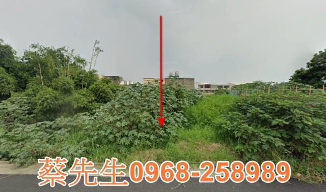 大肚法拍農地-0