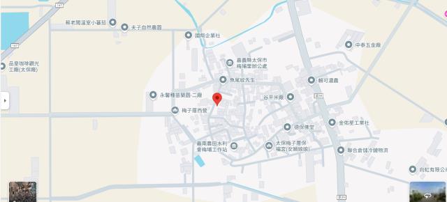 太保法拍建地-13