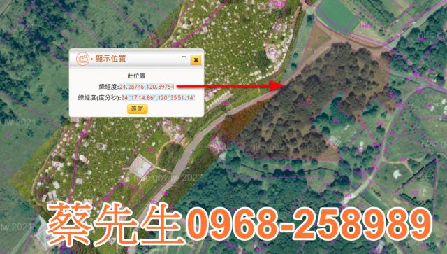 台中休閒地拍賣-10