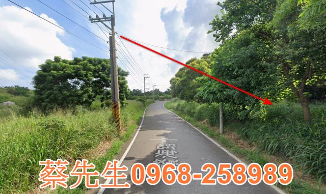 台中休閒地拍賣-13