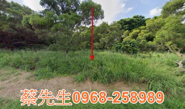 台中休閒地拍賣-0