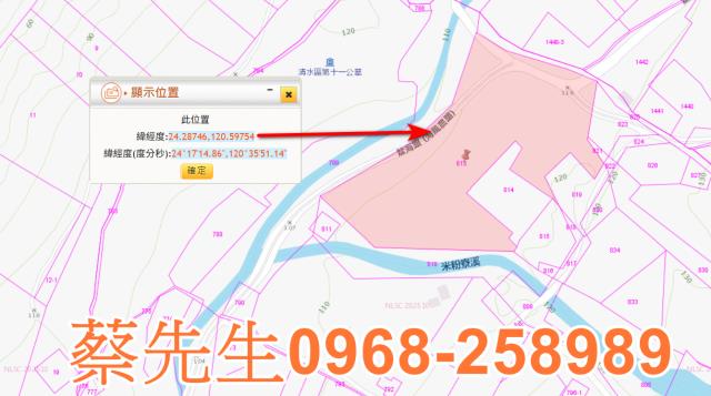 台中休閒地拍賣-1