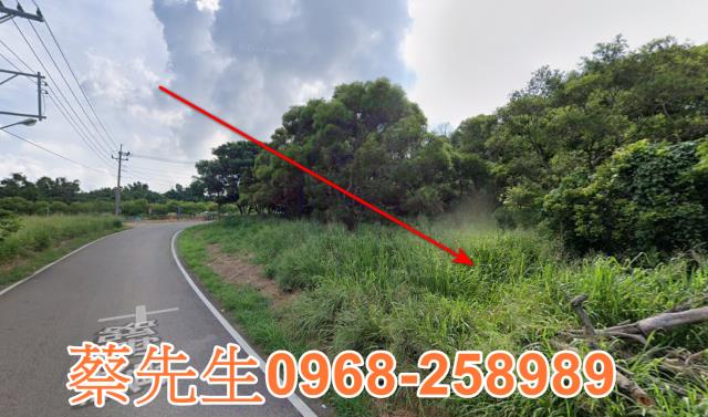 台中休閒地拍賣-6