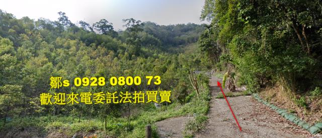 苗栗林地拍賣-8