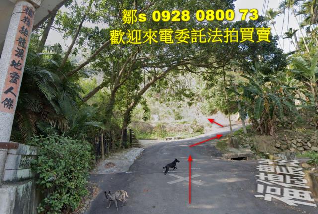 苗栗林地拍賣-9