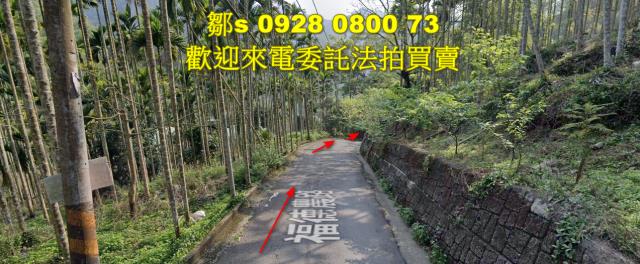 苗栗林地拍賣-2