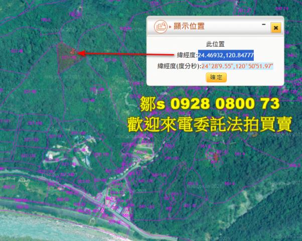 苗栗林地拍賣-4