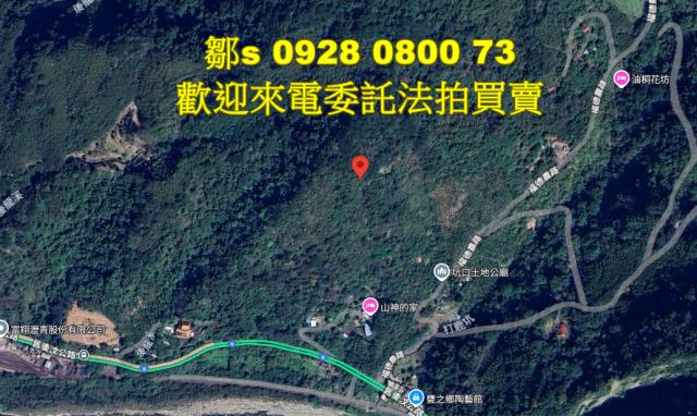 苗栗林地拍賣-5