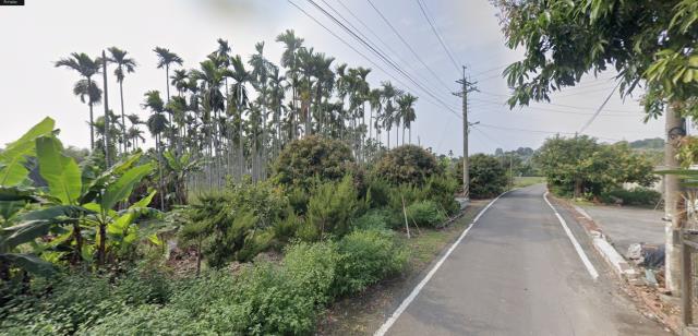 嘉義水上法拍農地-11