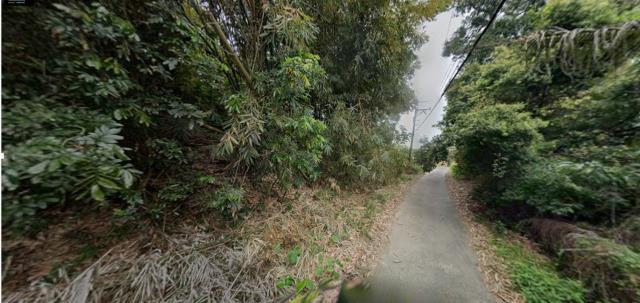 嘉義水上農地法拍-11