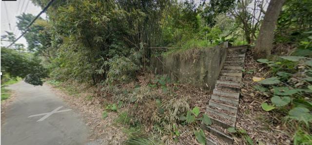 嘉義水上農地法拍-4