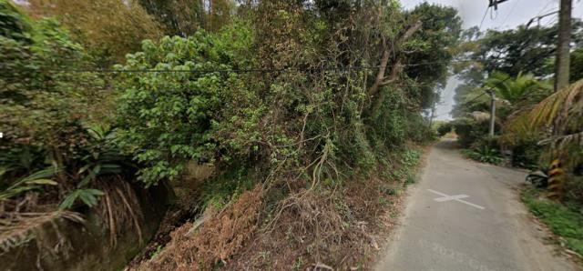 嘉義水上農地法拍-8