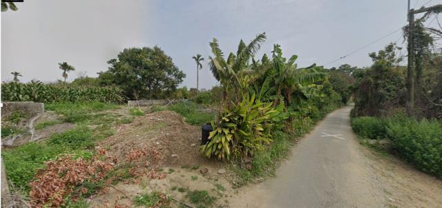 水上法拍農地-0