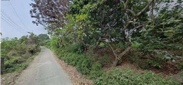 水上法拍農地-3