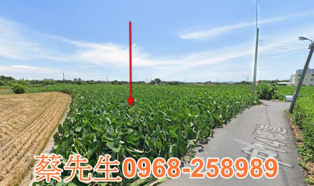 大甲法拍農地-11