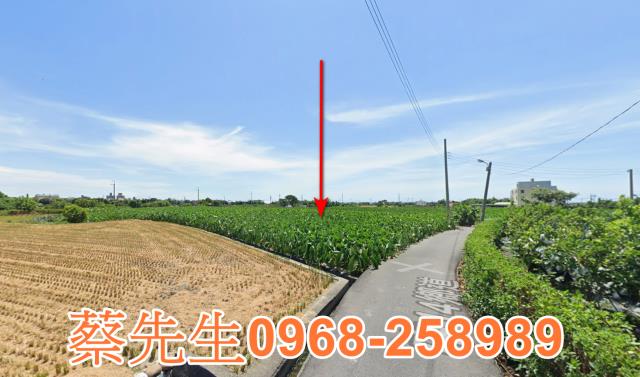 大甲法拍農地-12