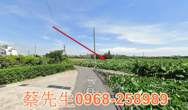 大甲法拍農地-14