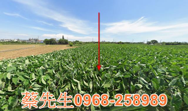 大甲法拍農地-0