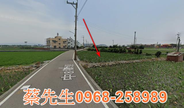 大安區農地法拍-14