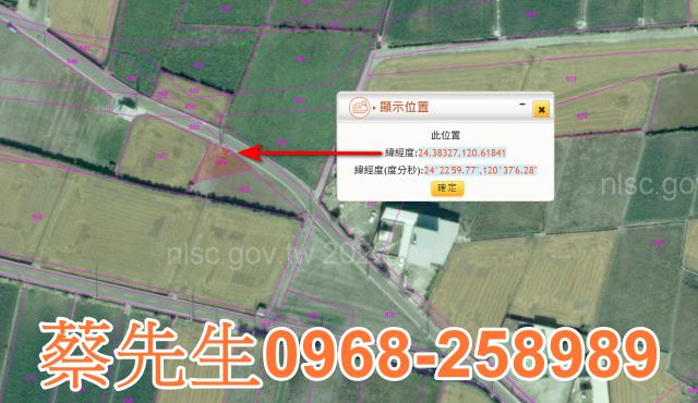 大安區農地法拍-2