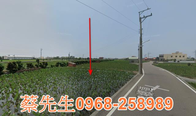 大安區農地法拍-3