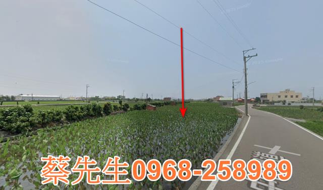 大安區農地法拍-4