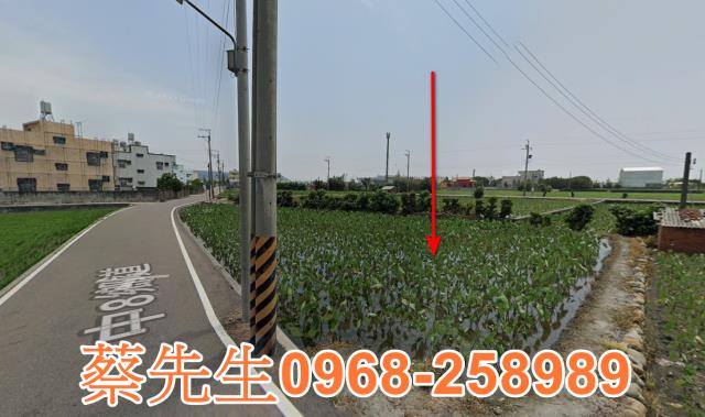 大安區農地法拍-5