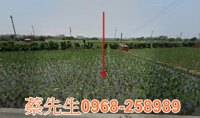 大安區農地法拍-8