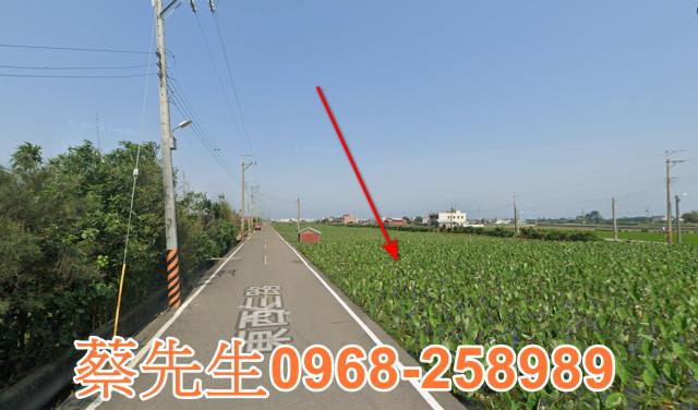 大安區拍賣農地-14