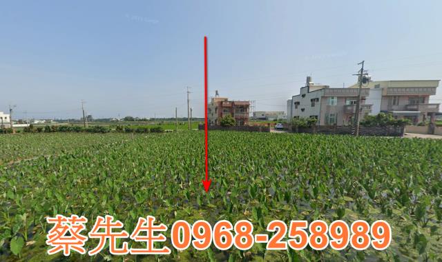 大安區拍賣農地-0